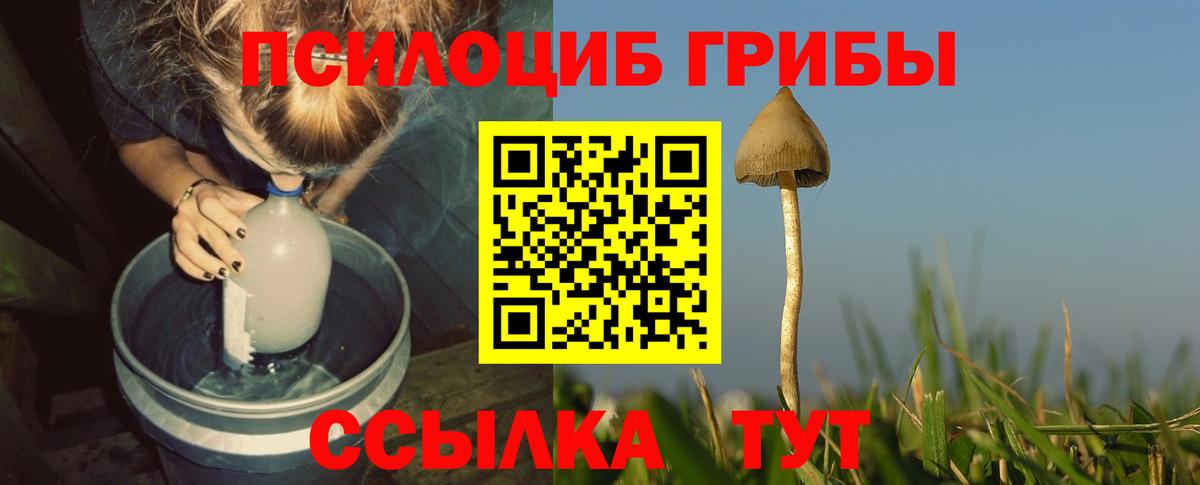 Псилоцибиновые грибы Psilocybine cubensis  Вход с VPN  Лобня 
